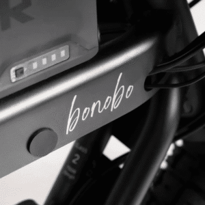 Bicicletă electrică APE RYDER BONOBO cu motor 250W, viteză maximă 25 km/h și autonomie până la 70 km – e-bike urbană modernă, eco-friendly.