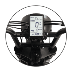 Bicicletă electrică APE RYDER BONOBO cu motor 250W, viteză maximă 25 km/h și autonomie până la 70 km – e-bike urbană modernă, eco-friendly.