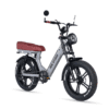 bicicleta electrica ape ryder md10pro,putere motor de 250 w, viteza max 25 km/h , 70 km autonomie