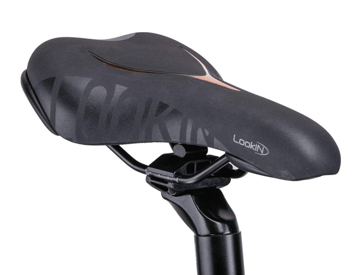 bicicleta electrica rks la rose, cu motor de 250w ,autonomie de 50km,viteza maxima 25 km/h bicicleta electrica rks la rose, cu motor de 250w ,autonomie de 50km,viteza maxima 25 km/h