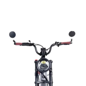 bicicleta electrica ape ryder md10pro,putere motor de 250 w, viteza max 25 km/h , 70 km autonomie