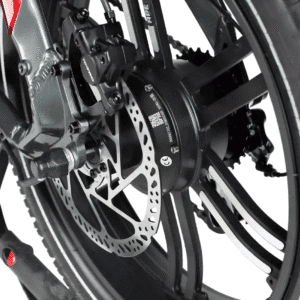 bicicleta electrica ape ryder loris, putere motor 250w, acumulator 48v/15ah, viteza 25 km/h