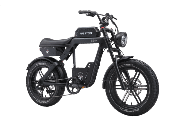 bicicletă electrică ape ryder baboon