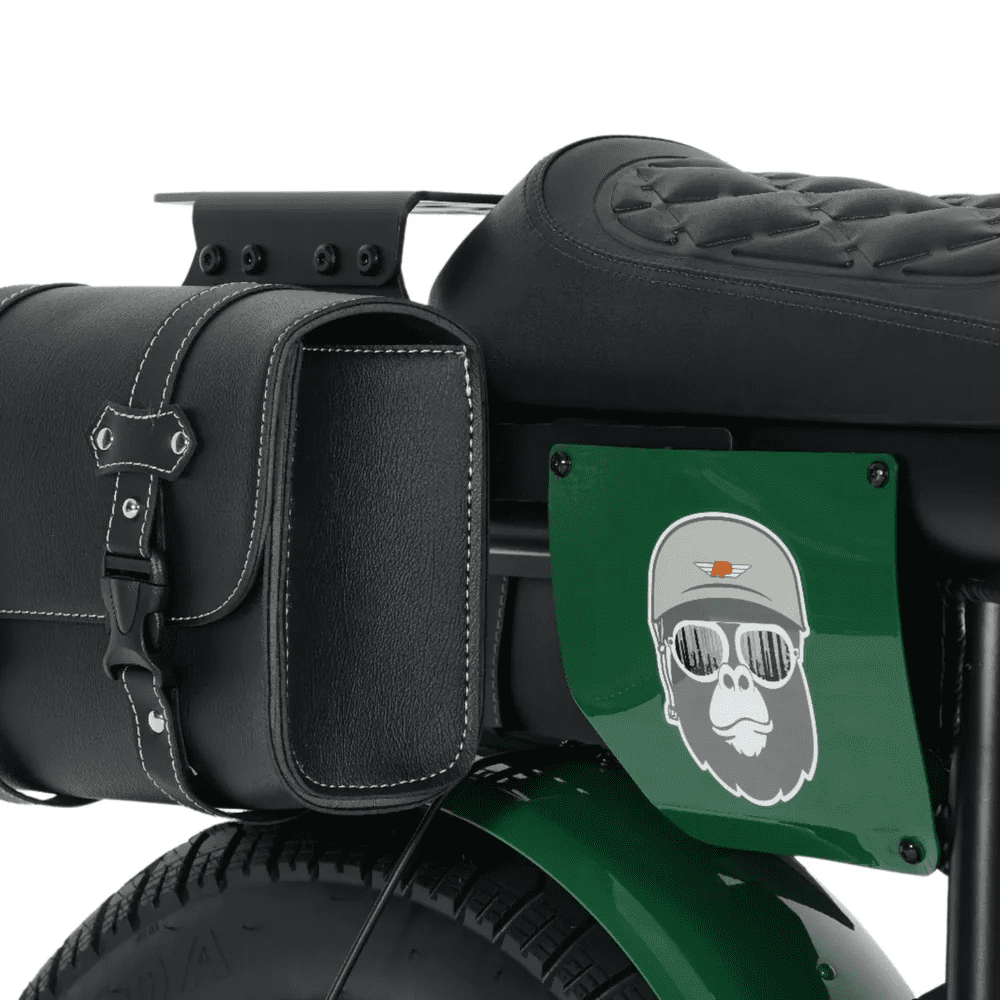 Bicicleta electrică Ape Ryder Gibbon – 250W, 25 km/h, 70 km autonomie Bicicletă electrică Ape Ryder Gibbon pentru oraș, 250W, 70 km autonomie