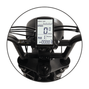 bicicleta electrica ape ryder bonobo, putere motor de 250 w, viteza 25 km/h, autonomie 70 km