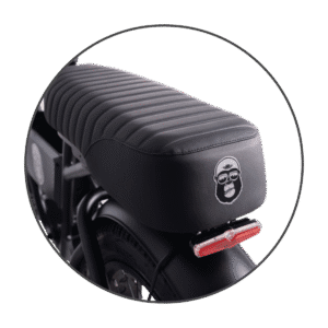 Bicicletă electrică APE RYDER BONOBO cu motor 250W, viteză maximă 25 km/h și autonomie până la 70 km – e-bike urbană modernă, eco-friendly