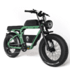Bicicletă electrică APE RYDER BONOBO FOREST cu motor 250W, viteză maximă 25 km/h și autonomie până la 70 km – e-bike urbană modernă, eco-friendly
