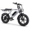 Bicicleta electrica APE RYDER COLOBUS GREY, motor 250W, baterie 48V/10.4Ah, viteza 25 km/h, autonomie 60 km, adulti, roti 20", display LCD
