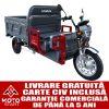 Triciclu Electric Cargo Samus Houston 45km/h argintiu