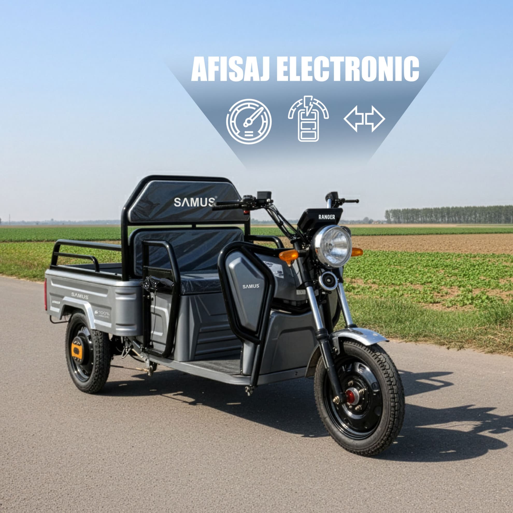Afișaj electronic modern triciclu electric cargo Samus Ranger 25 Silver