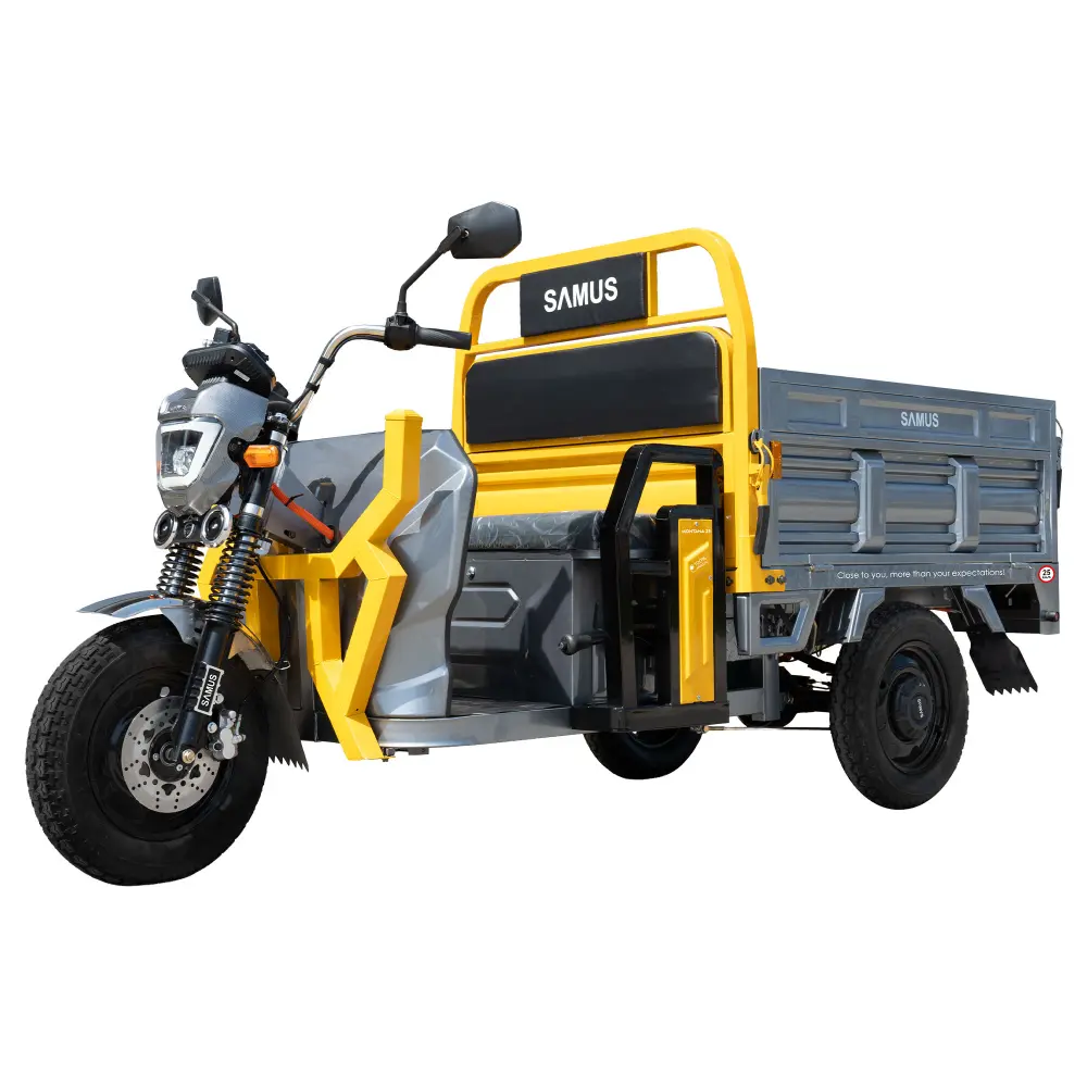 triciclu-electric-cargo-samus-montana-galben-argintiu-inchis-1