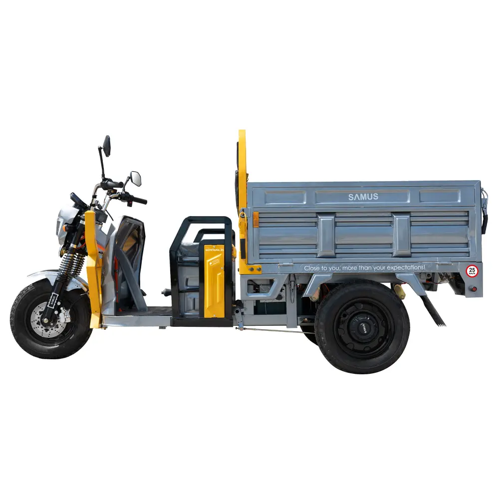 triciclu-electric-cargo-samus-montana-galben-argintiu-inchis-4