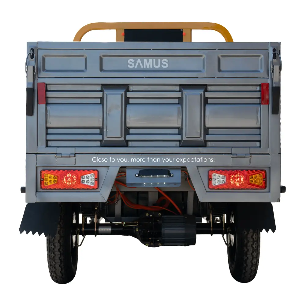 triciclu-electric-cargo-samus-montana-galben-argintiu-inchis-6