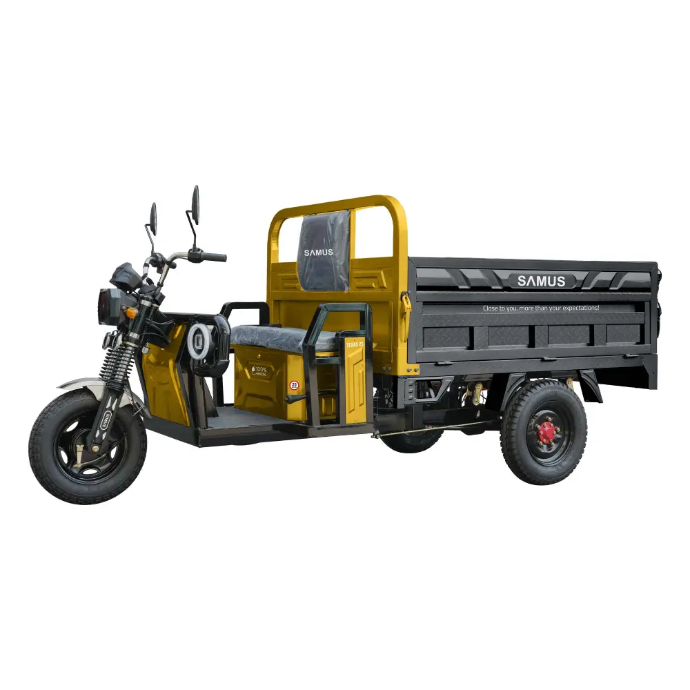 triciclu-electric-cargo-samus-texas-galben-argintiu-1 triciclu electric,triciclu cargo,vehicul electric basculabil