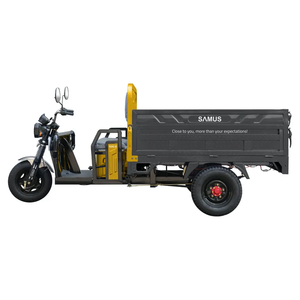 triciclu-electric-cargo-samus-texas-galben-argintiu-3 triciclu electric,triciclu cargo,vehicul electric basculabil