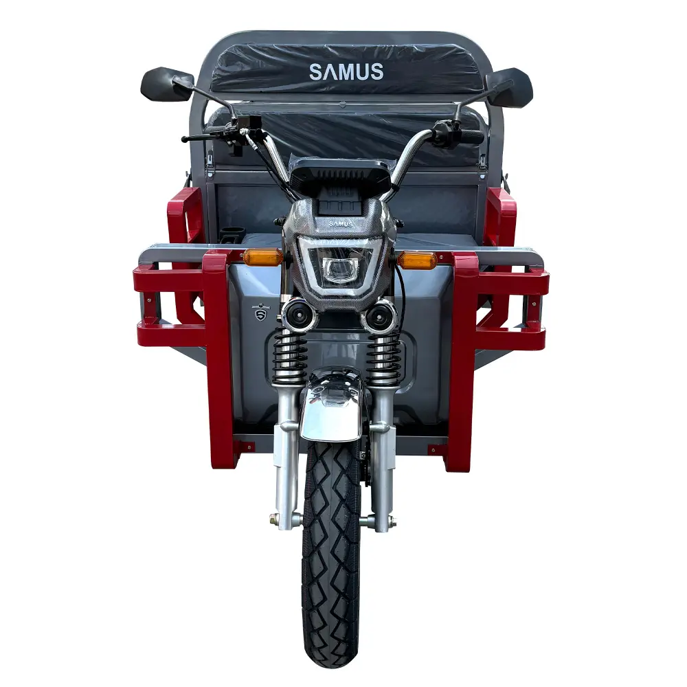 triciclu-electric-samus-houston-25km-h-argintiu-2