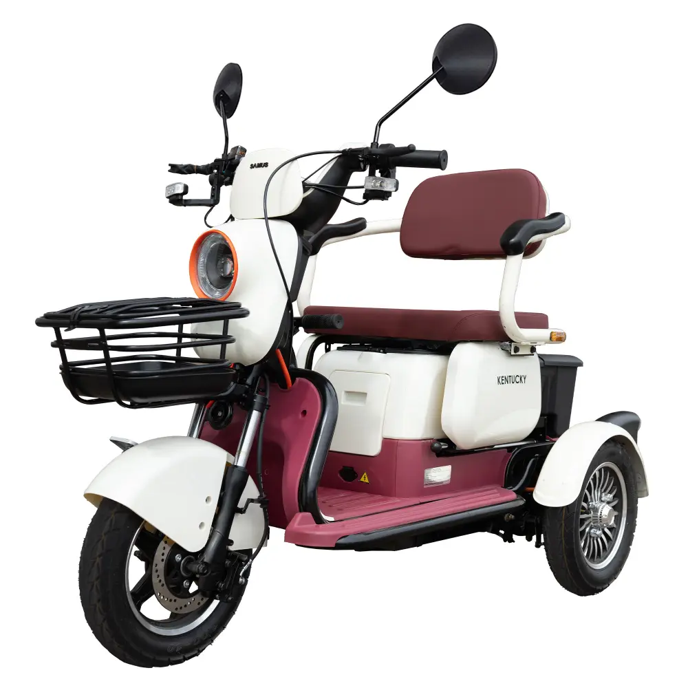 triciclu-electric-transport-persoane-bej-visiniu-1