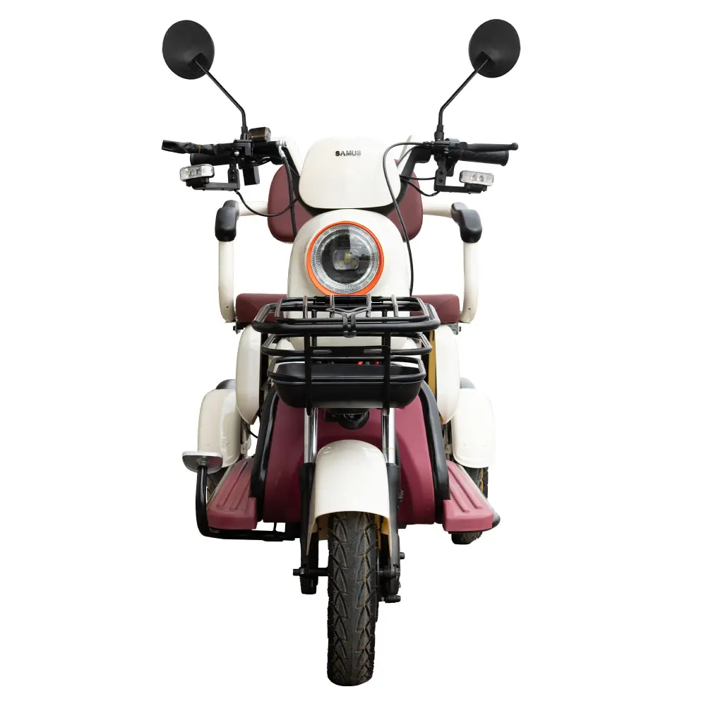 triciclu-electric-transport-persoane-bej-visiniu-2