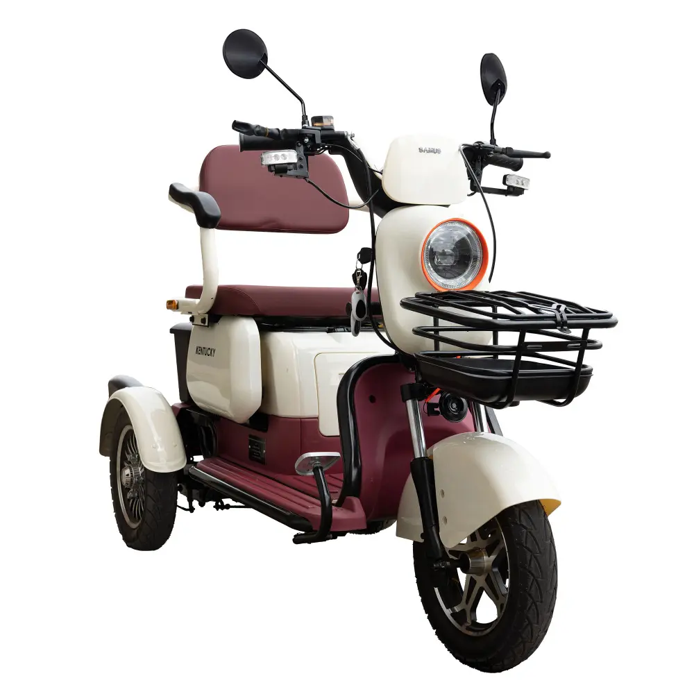triciclu-electric-transport-persoane-bej-visiniu-3
