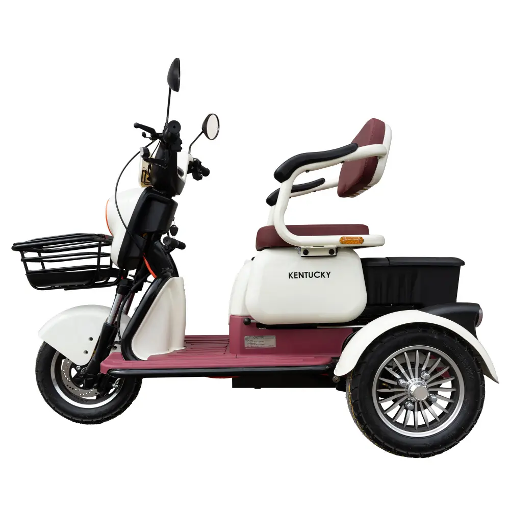 triciclu-electric-transport-persoane-bej-visiniu-4