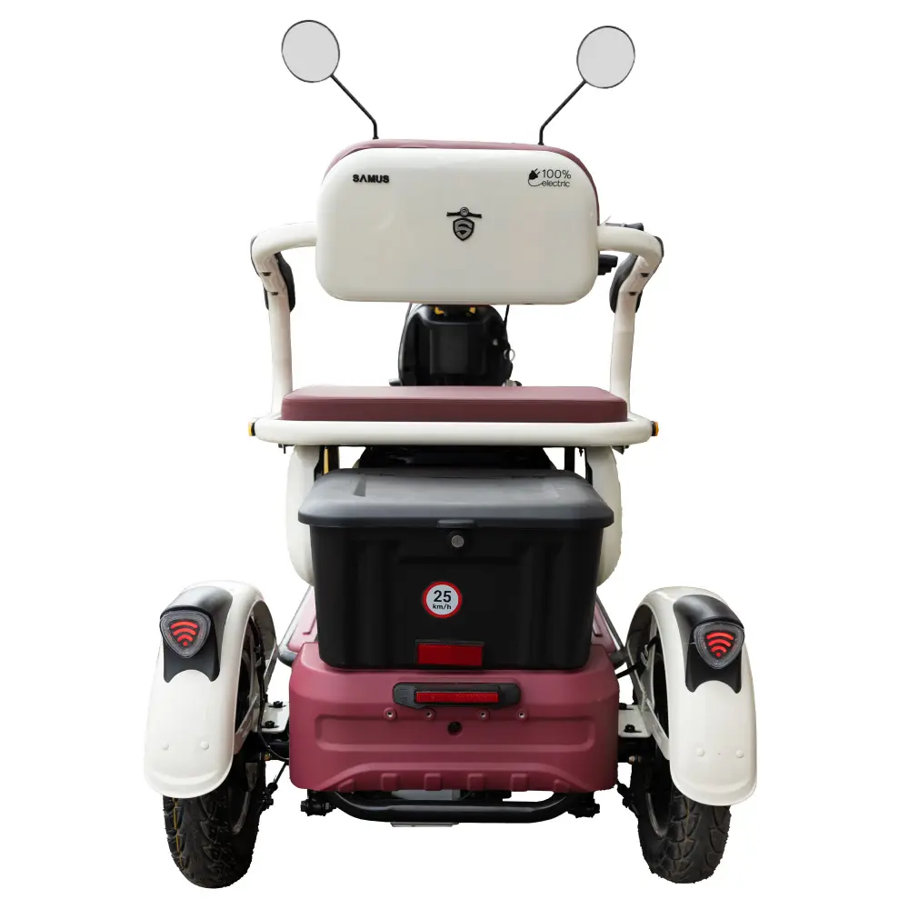 triciclu-electric-transport-persoane-bej-visiniu-5