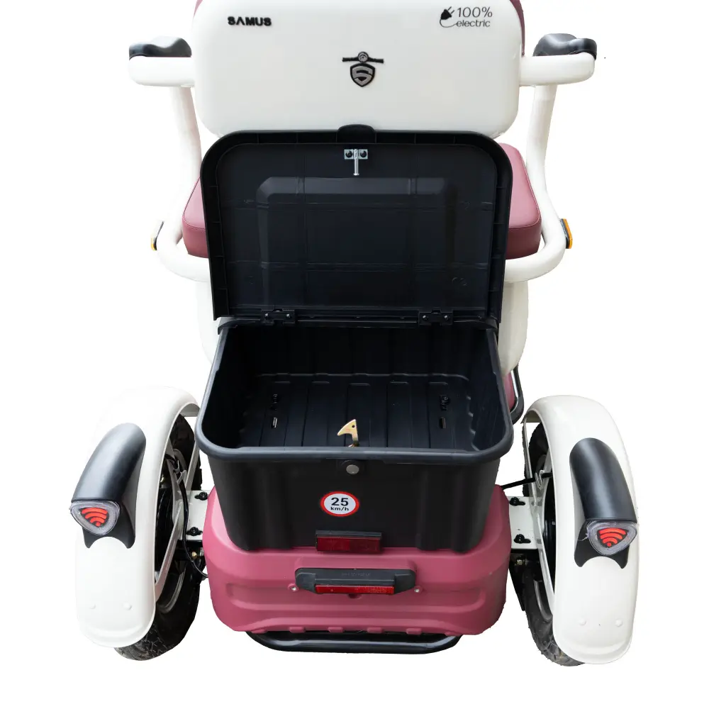 triciclu-electric-transport-persoane-bej-visiniu-6