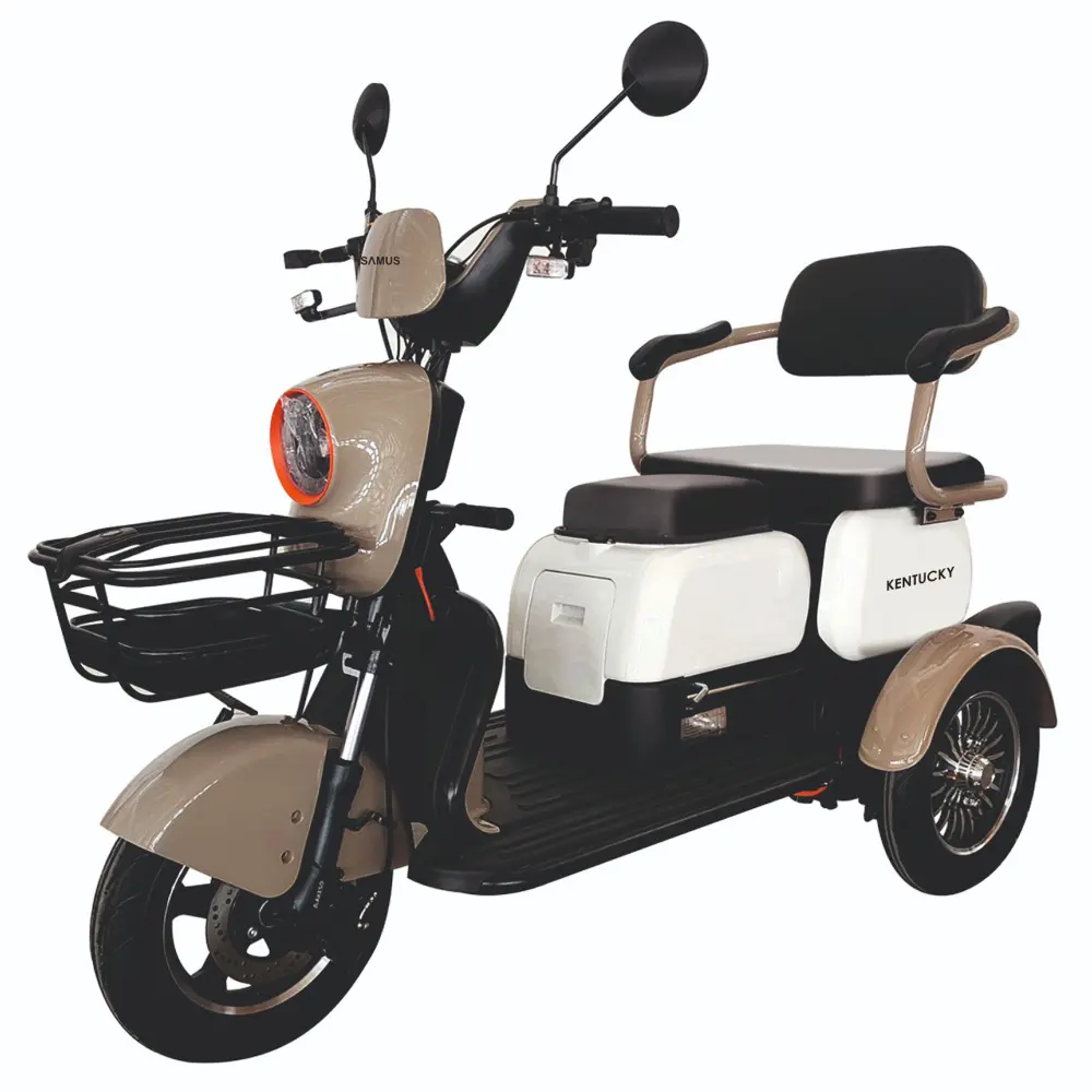 triciclu-electric-transport-persoane-maro-alb-1
