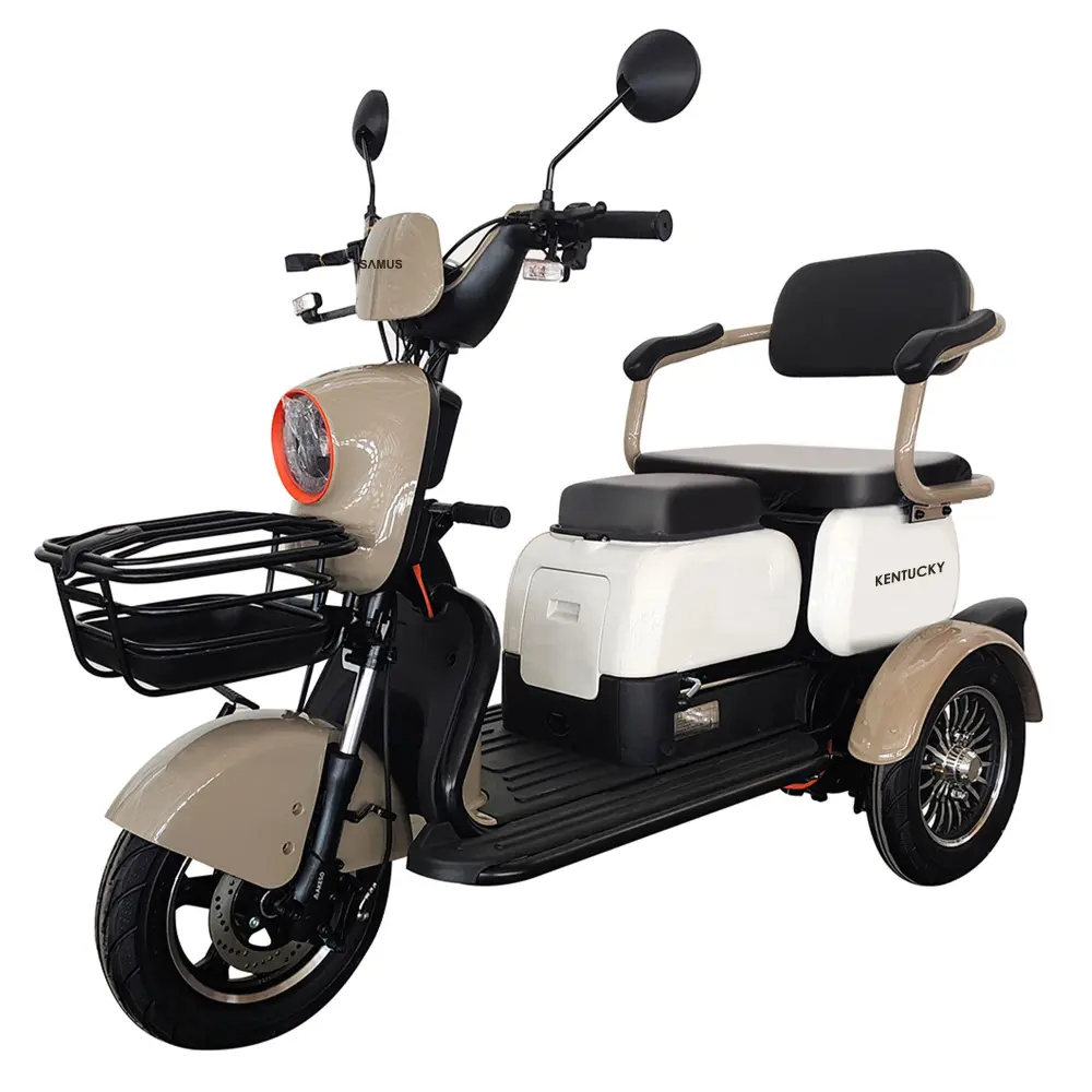 triciclu-electric-transport-persoane-maro-alb-3