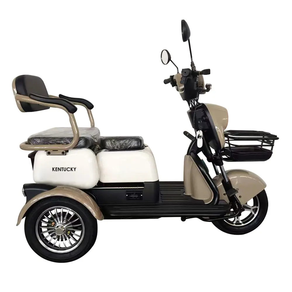 triciclu-electric-transport-persoane-maro-alb-4
