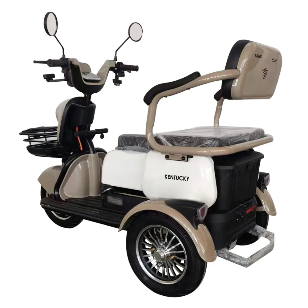 triciclu-electric-transport-persoane-maro-alb-5