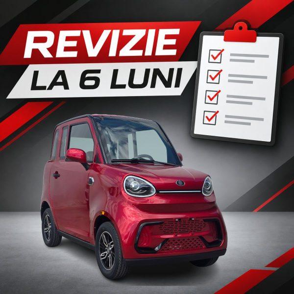 Serviciu revizie tehnică periodică la 6 luni – cvadriciclu electric (L6e-BP) masina electrica