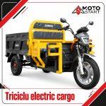 triciclu electric cargo