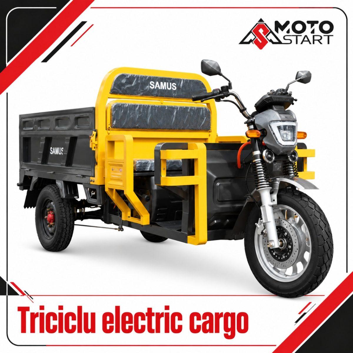 triciclu electric cargo