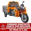 Triciclu electric (L2e) cargo RURIS PILOT 3130 G GRAY
